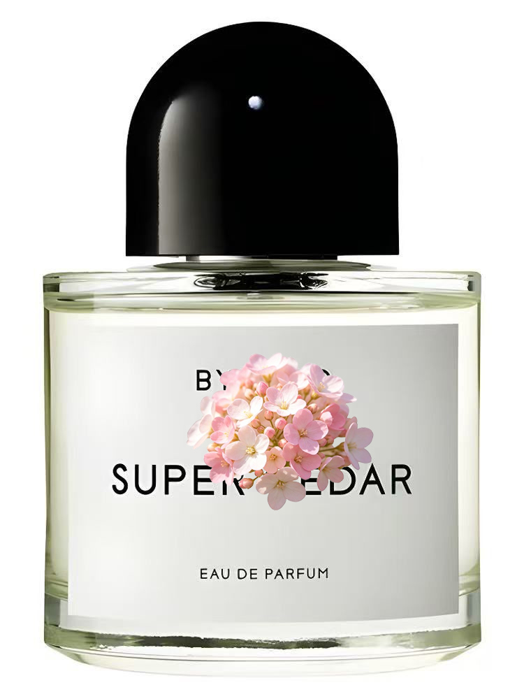 Eau de Parfum Unisex 100ml 3.4 - Men'S Fashion Perfume reseña y precio